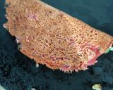 A picture of step 10 of Beetroot pulp chilla with veggies.