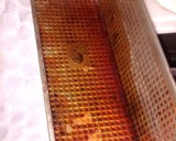 Foto del paso 1 de la receta: Flan de dulce de leche