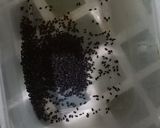 Foto langkah ke 3 dari resep Laksamana Mengamuk (Minuman Khas Riau).