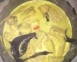 Foto langkah ke 4 dari resep Opor Ayam.