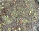 સાલમ પાક (Salampak Recipe In Gujarati) રેસીપી સ્ટેપ5ફોટો