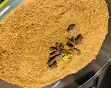A picture of step 3 of Daigi Masala.