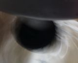 Une image de l'étape 3 de Génoise classique.