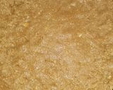 Foto del paso 2 de la receta: New york cheesecake