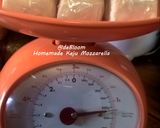Foto langkah ke 8 dari resep 228. Homemade Keju Mozzarella.