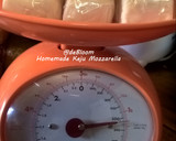 Foto langkah ke 8 dari resep 228. Homemade Keju Mozzarella.