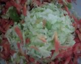કોબી ગ્રિલ સેન્ડવિચ (Cabbage Grill Sandwich Recipe In Gujarati) રેસીપી સ્ટેપ1ફોટો