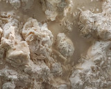 Foto del paso 1 de la receta: Focaccia sin manchar las manos