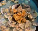 Foto del paso 3 de la receta: Espaguetis con almejas, cilantro y lima