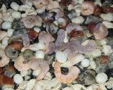 Foto del paso 1 de la receta: Paella a mi manera