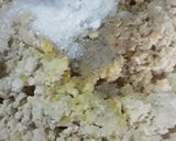 A picture of step 4 of Tahu Fantasi (Fried Tofu with Quail Egg).