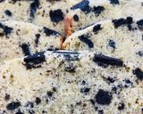 A picture of step 5 of Cookies and cream cake.