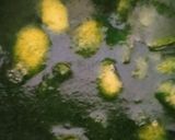 Foto del passaggio 2 della ricetta Sciroppo alla menta