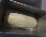 Foto langkah ke 5 dari resep No knead White Bread (Roti Tawar Tanpa Ulen).