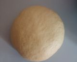 Foto del paso 5 de la receta: Conchas