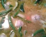 Asian Porkball and applesauce soup recipe step 8 photo