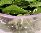Foto del passaggio 1 della ricetta Sciroppo alla menta