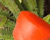 Une image de l'étape 5 de Sucette glacée 🍭 au sirop de grenadine.