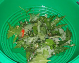 Foto del paso 1 de la receta: Sopa de plantas silvestres y flores. "Receta de posguerra"