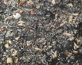 Foto del paso 16 de la receta 201. Arroz Negro con Alioli