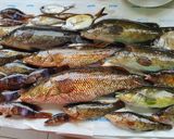Une image de l'étape 1 de Soupe de poissons.