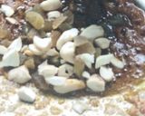 মুগ ডাল ছানার পুর ভরা পটলের দোর্মা (moog dal chanar pur bhora potoler dorma recipe in Bengali) রেসিপি ধাপ - 3 ছবি