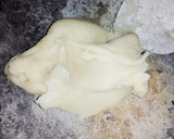 Foto langkah ke 4 dari resep Kue Rasidah Khas Suku Melayu (Kue Langka Kebesaran Para Raja Melayu).