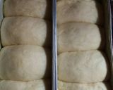 Foto langkah ke 5 dari resep Roti tawar Homemade (ulen 1x profing otang).