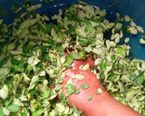 A picture of step 1 of Moringa.