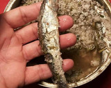 Foto del paso 17 de la receta: Anchoas en salazón y con hierbas aromáticas, con mi método de treinta días de curación