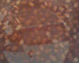 Foto del paso 1 de la receta: Salcocho de habichuelas rojas
