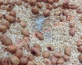 A picture of step 1 of Brinjal bajiya.