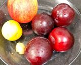 પ્લમ નુ જ્યુસ (Plum Juice Recipe In Gujarati) રેસીપી સ્ટેપ1ફોટો