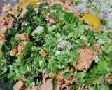 A picture of step 4 of Shami kabab.