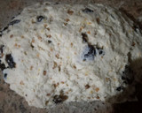 Foto del paso 4 de la receta: Pan de Navidad