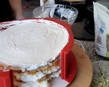 Foto del paso 12 de la receta: Tarta rápida con Melocotón