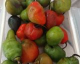Foto langkah ke 1 dari resep Ase Cabe Gendot.
