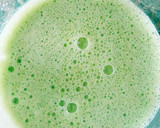 Foto del paso 2 de la receta: Jugo isotónico verde con Agua de Mar