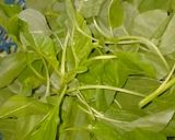 Foto langkah ke 2 dari resep Sayur Temu Kunci (Bayam Gambas).