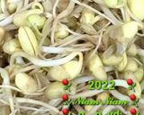 Foto langkah ke 2 dari resep 98. SAYUR ASEM DESA (BUNCIS, TERONG, TAOGE, LABU SIAM).