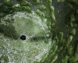 A picture of step 3 of Mint & Lemon Chutney.