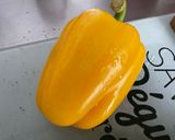 Une image de l'étape 4 de Poulet à la tomate, poivron jaune et cebettes.