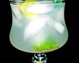 Mike's Adult Summertime 5 Calorie Lemon-Lime-aide recipe step 5 photo