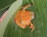 Foto langkah ke 3 dari resep Pepes Udang Telur.