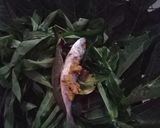 Foto langkah ke 2 dari resep Pepes Peda Daun Pepaya.