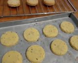 Foto langkah ke 6 dari resep Oregano Cookies (Savory Cookies).