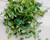 મેથી ના થેપલા(methi na thepla recipe in gujarati) રેસીપી સ્ટેપ2ફોટો