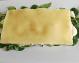Foto del paso 14 de la receta: Lasaña fría vegetal con mayonesa de mango