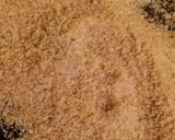 Foto del paso 4 de la receta: Coco Rallado