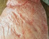 Foto del paso 3 de la receta: Punta ganso entera a la parrilla